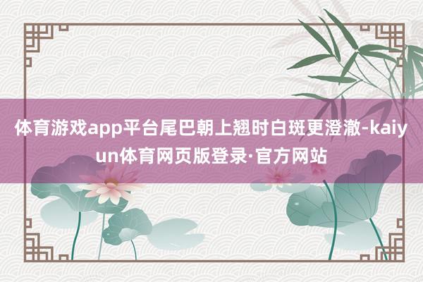 体育游戏app平台尾巴朝上翘时白斑更澄澈-kaiyun体育网页版登录·官方网站