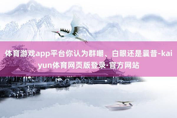 体育游戏app平台你认为群嘲、白眼还是曩昔-kaiyun体育网页版登录·官方网站