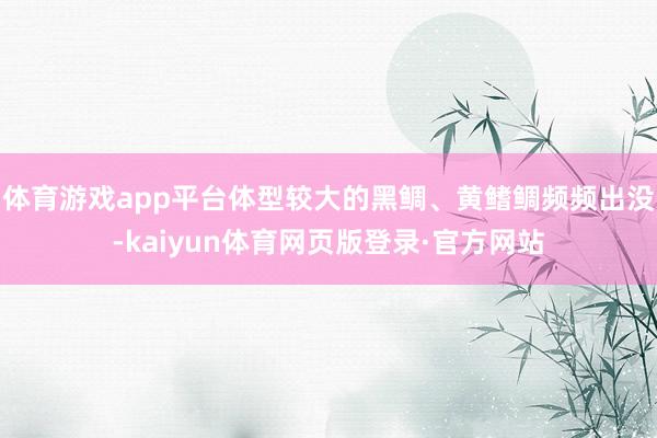 体育游戏app平台体型较大的黑鲷、黄鳍鲷频频出没-kaiyun体育网页版登录·官方网站