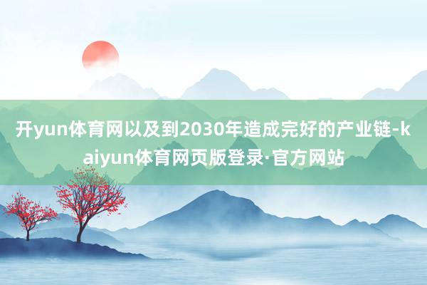 开yun体育网以及到2030年造成完好的产业链-kaiyun体育网页版登录·官方网站